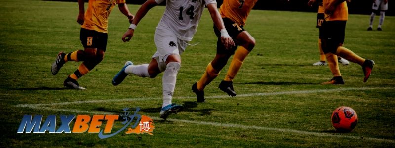 MaxBet Online Sports