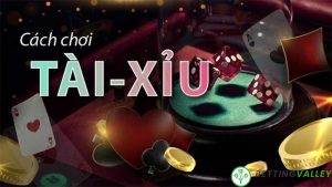 Cách chơi tài xỉu online đầy đủ nhất